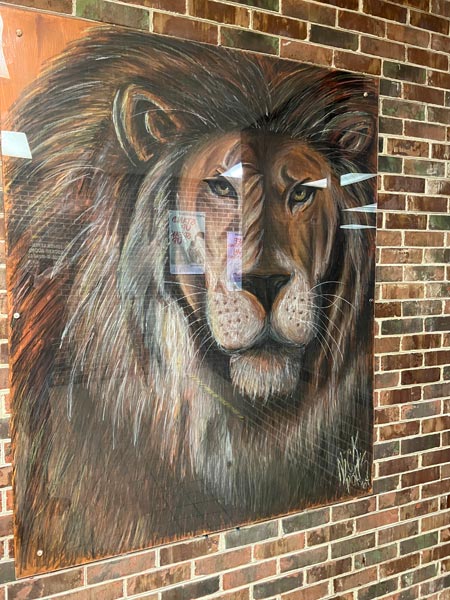 Lion artwork