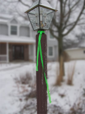 Green ribbon photo